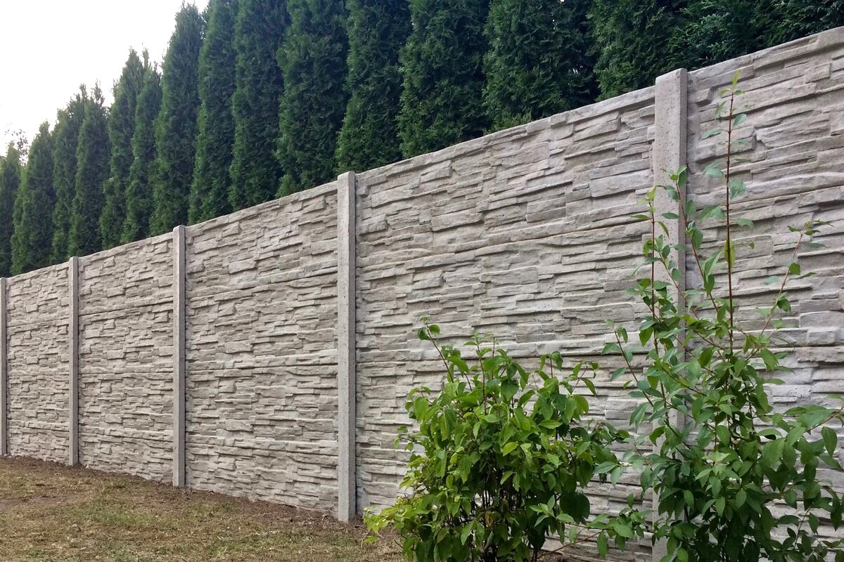 Betonový plot s tújemi — elegantní realizace