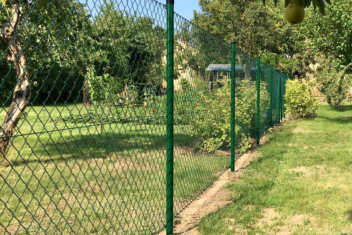 Pletivový plot v zahradě — portrétní záběr